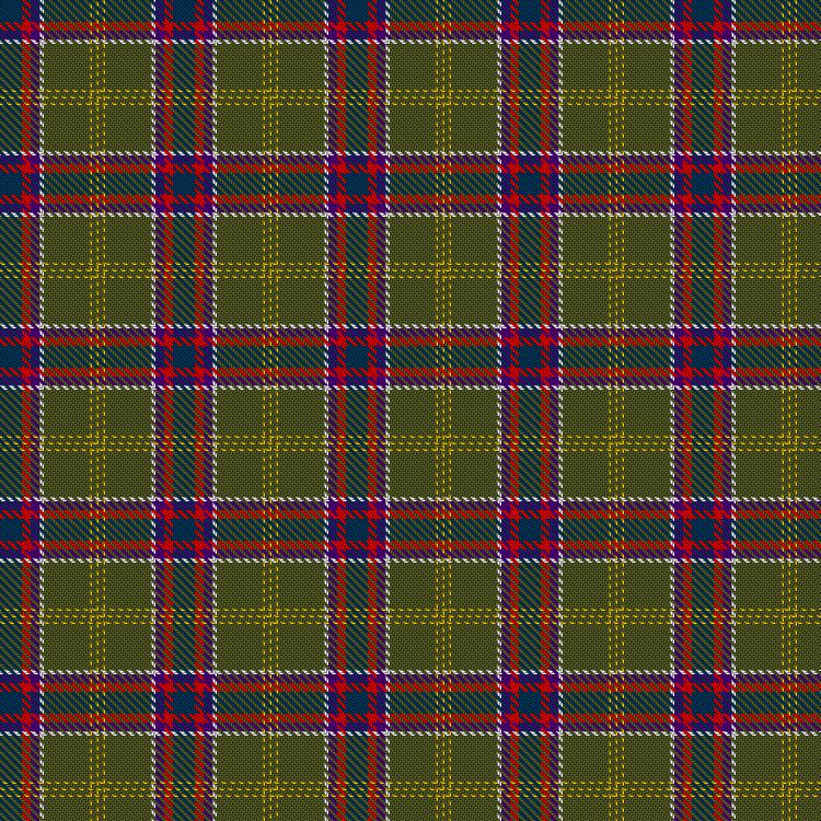 Tartan image: Bards, Ovates and Druids. Click on this image to see a more detailed version.