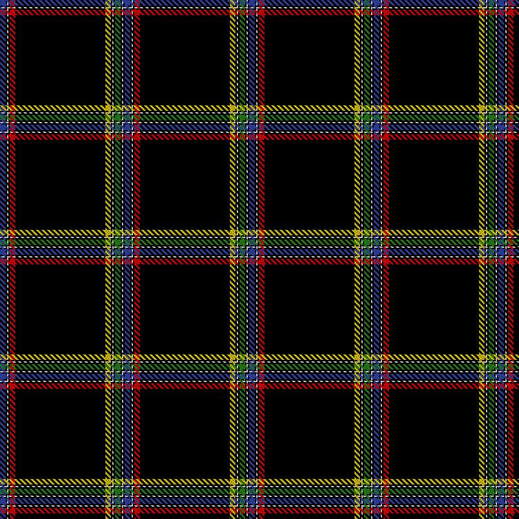 Tartan image: Robin, Paul (Personal). Click on this image to see a more detailed version.