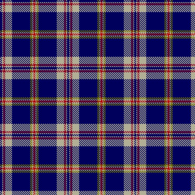 Tartan image: Mayvans, J & D (Personal). Click on this image to see a more detailed version.