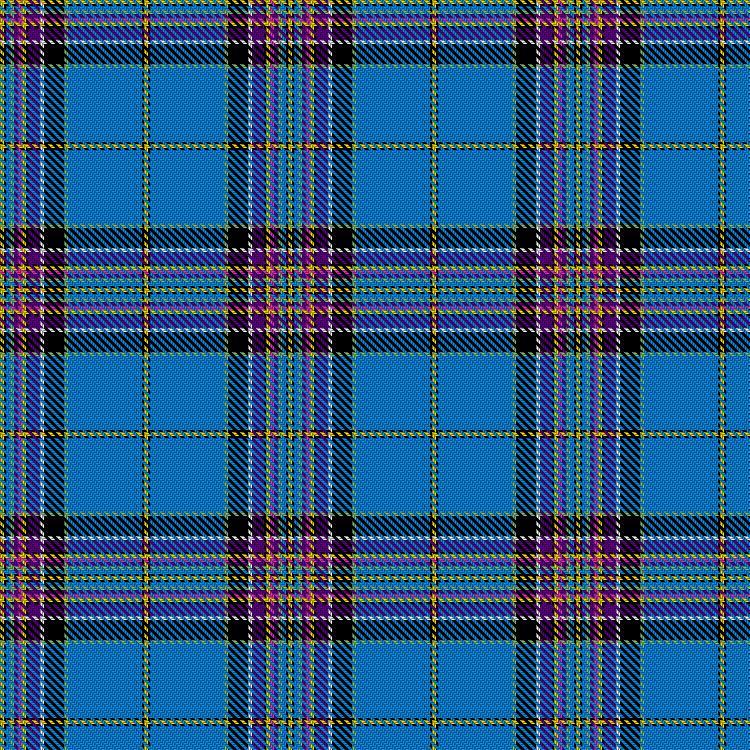 Tartan image: Commonwealth Games Scotland - Team Scotland 2022. Click on this image to see a more detailed version.