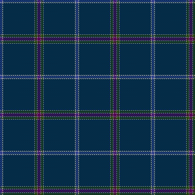 Tartan image: Supporters of Scotland. Click on this image to see a more detailed version.