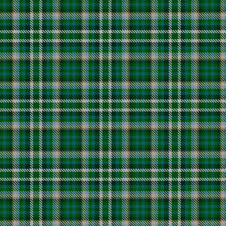Tartan image: Celtic Titles. Click on this image to see a more detailed version.