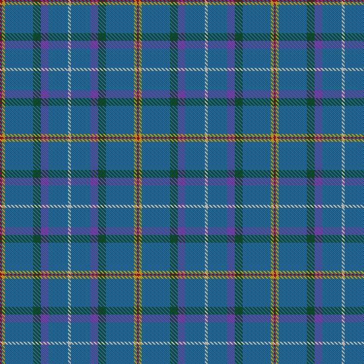 Tartan image: 460 Binbrook. Click on this image to see a more detailed version.