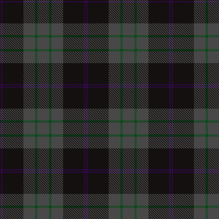 Tartan image: Smith Fehsenfeld, Cameron & Andrea and Family (Personal). Click on this image to see a more detailed version.