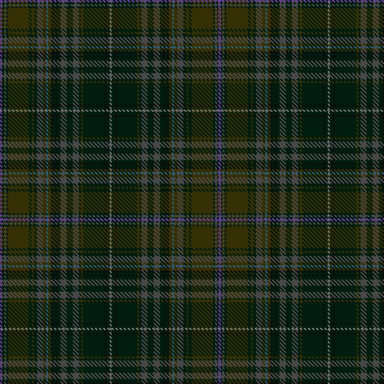 Tartan image: Dowell, John & Family (Personal). Click on this image to see a more detailed version.