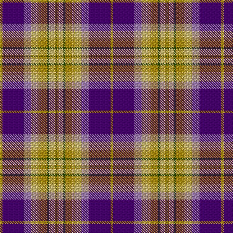 Tartan image: Sheena Christie Commemorative. Click on this image to see a more detailed version.