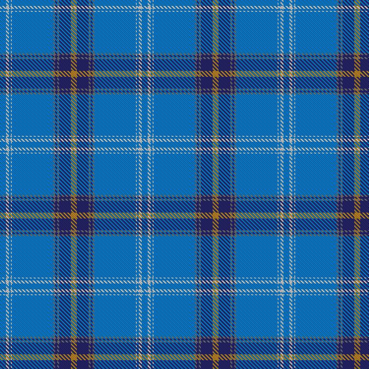 Tartan image: Song of Saltire. Click on this image to see a more detailed version.