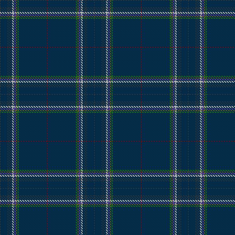Tartan image: South Georgia. Click on this image to see a more detailed version.