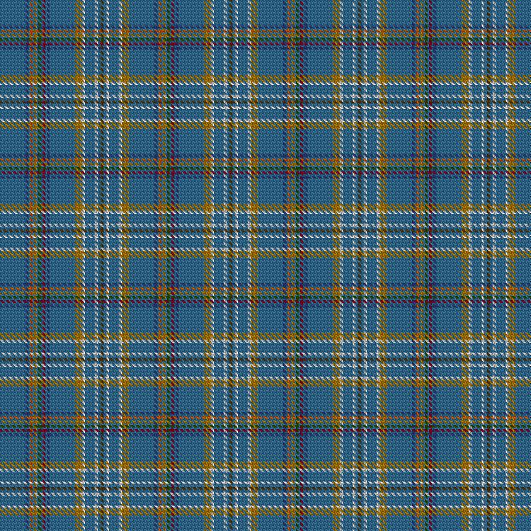 Tartan image: Hair o' the Dug. Click on this image to see a more detailed version.