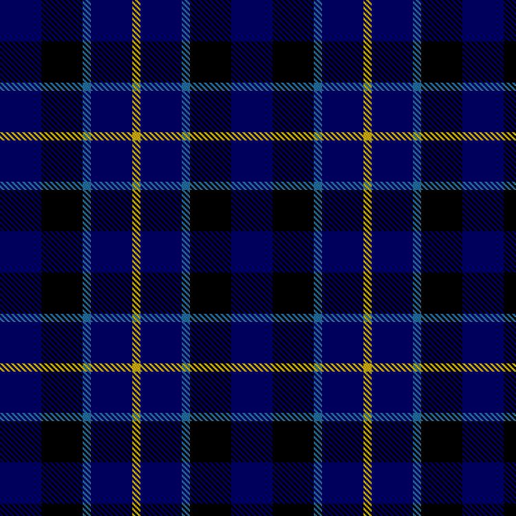 Tartan image: Holliday-Aldasch, Marc & Family (Personal). Click on this image to see a more detailed version.