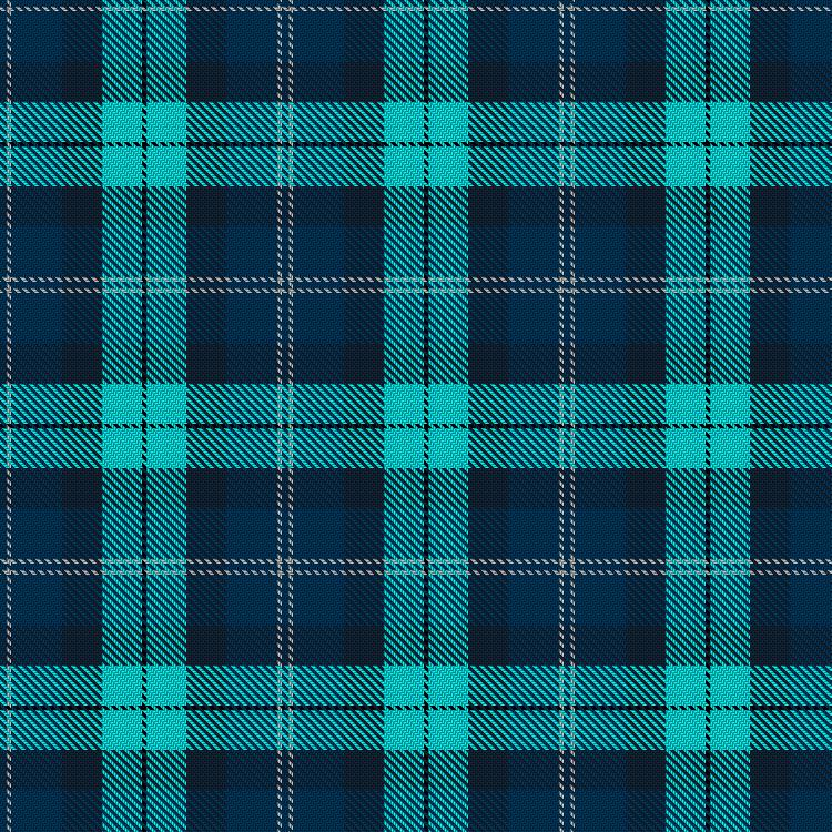 Tartan image: BrewDog Punk. Click on this image to see a more detailed version.