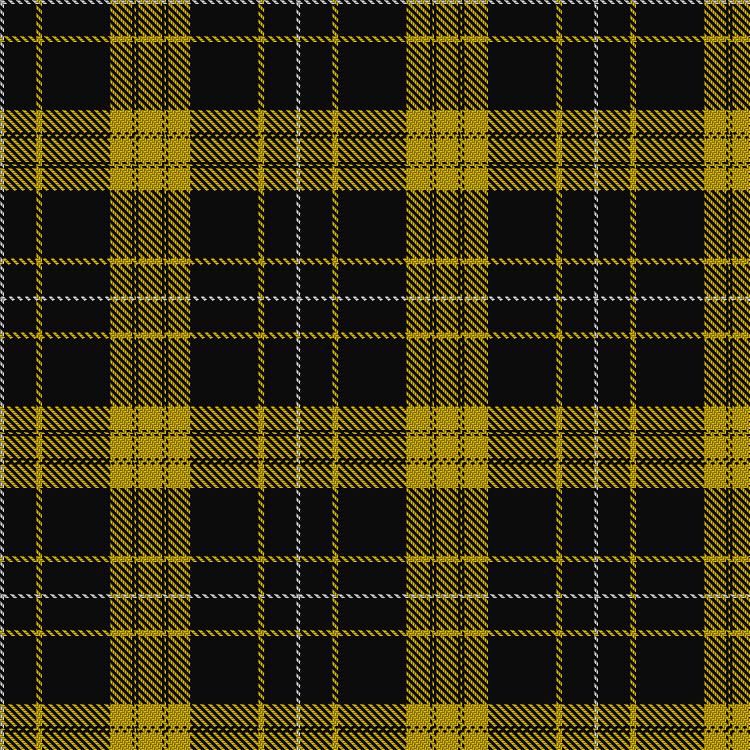 Tartan image: Rayburn, Richard (Personal). Click on this image to see a more detailed version.