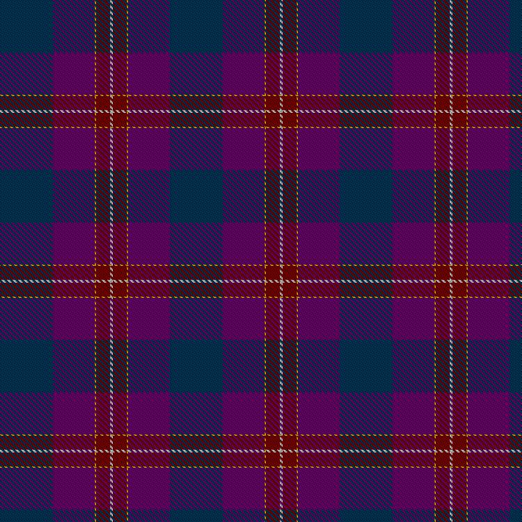 Tartan image: Morgenstern, T & Family (Personal). Click on this image to see a more detailed version.