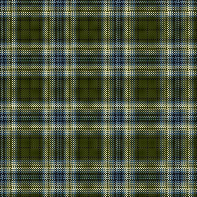 Tartan image: Mapleton, Shinoo & Family (Personal). Click on this image to see a more detailed version.