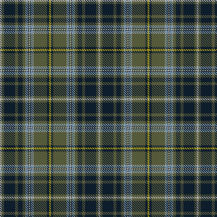 Tartan image: MacBean Hunting. Click on this image to see a more detailed version.