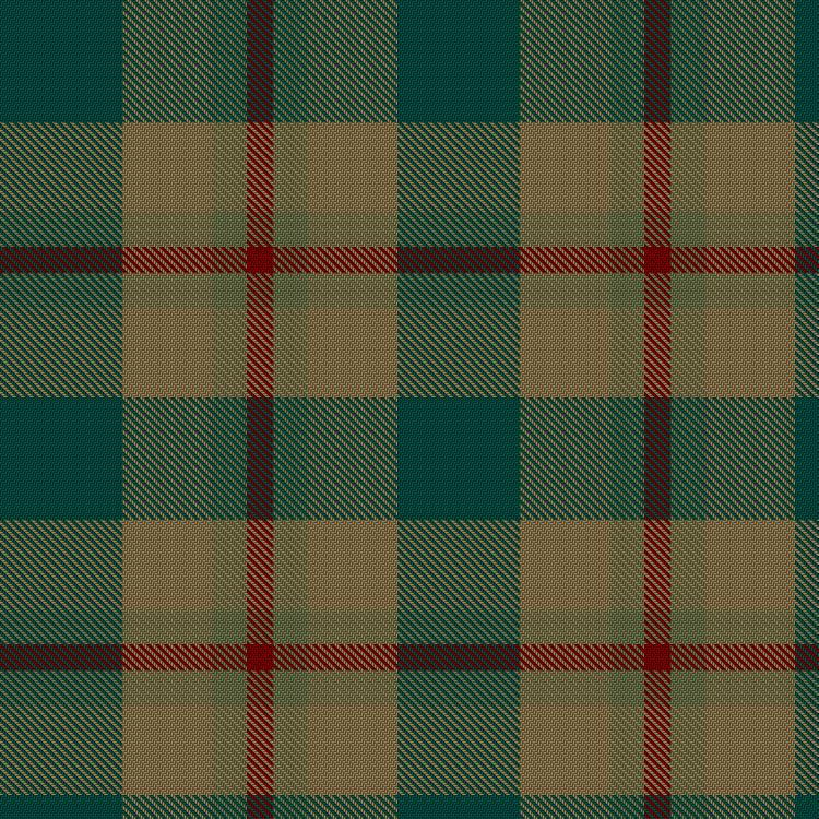 Tartan image: Barr, Brian & Laila and Family Hunting (Personal). Click on this image to see a more detailed version.