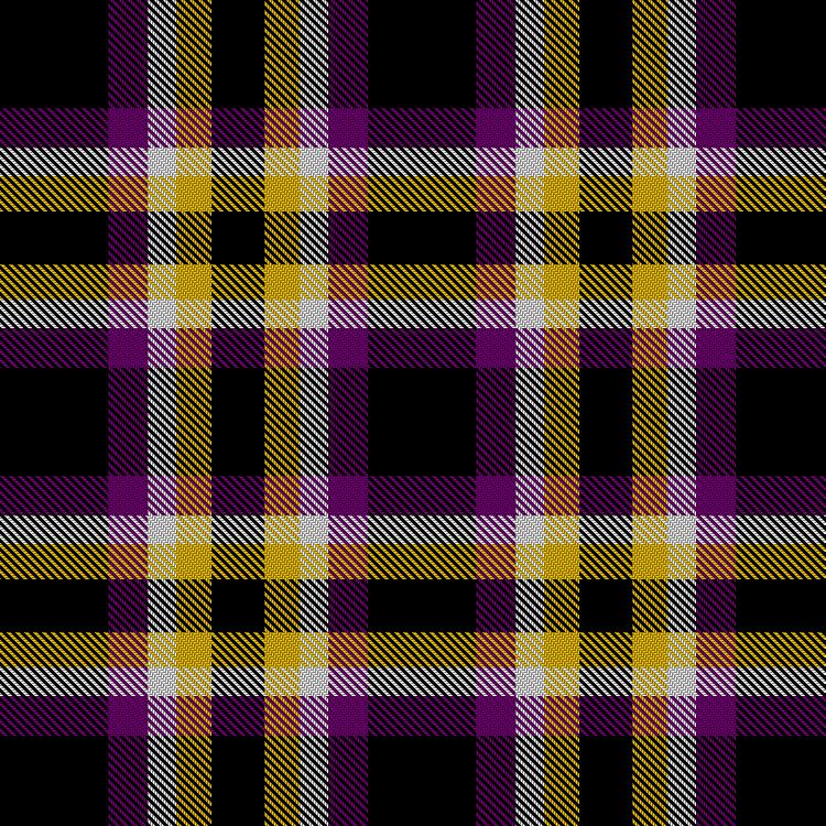 Tartan image: Kilted Bros - Non-Binary Pride. Click on this image to see a more detailed version.