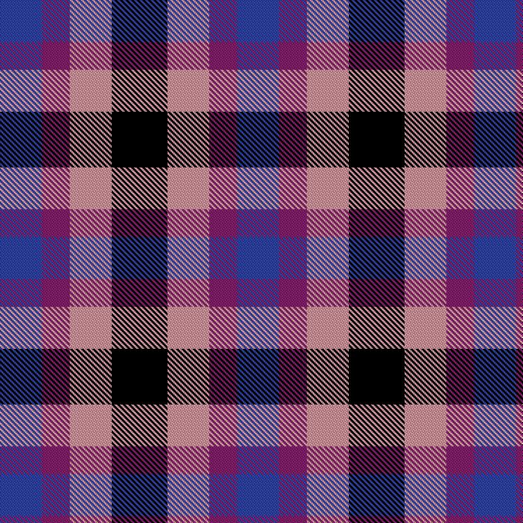 Tartan image: Kilted Bros - Bisexual Pride. Click on this image to see a more detailed version.