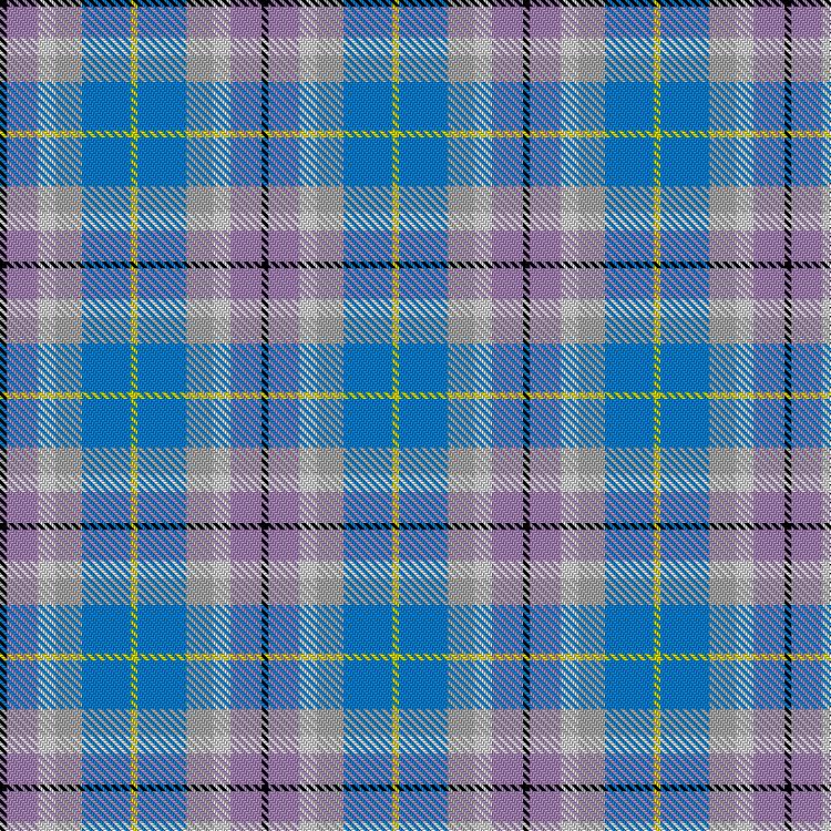 Tartan image: Suncoast Springtime. Click on this image to see a more detailed version.