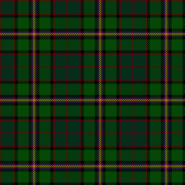Tartan image: Nelson, Patrick (Personal). Click on this image to see a more detailed version.