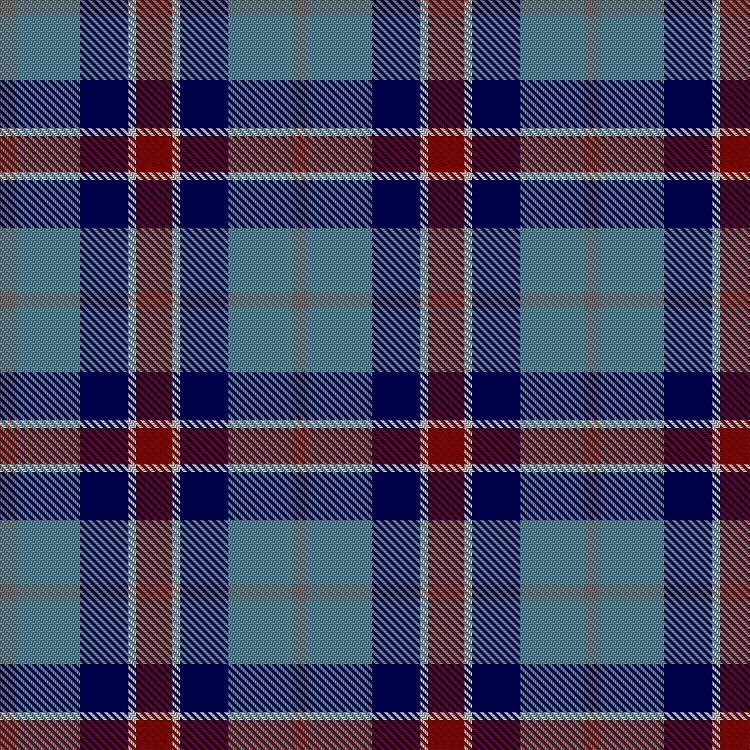 Tartan image: R C Dickinson DFM Commemorative. Click on this image to see a more detailed version.