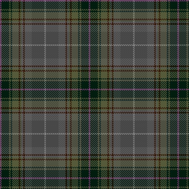 Tartan image: Al-Sayer, Hilal and Family (Personal). Click on this image to see a more detailed version.
