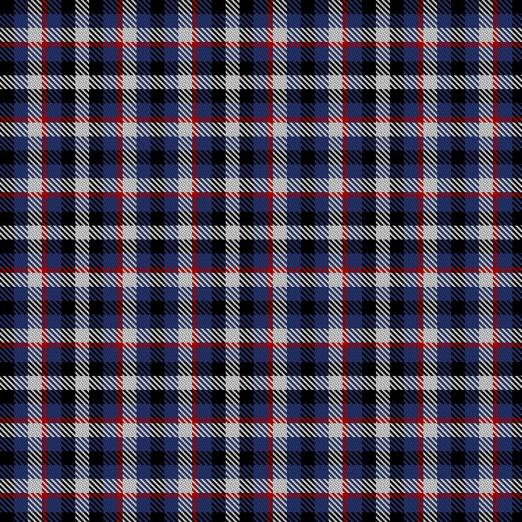 Tartan image: Kilted Bros - Leather Pride. Click on this image to see a more detailed version.