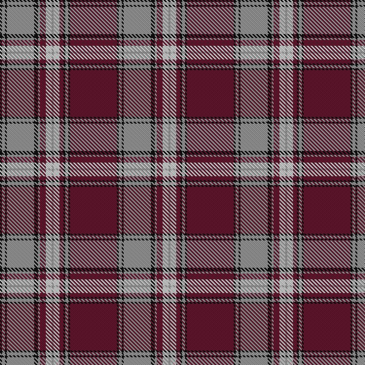 Tartan image: International Leadership of Texas CSK8 PTO. Click on this image to see a more detailed version.