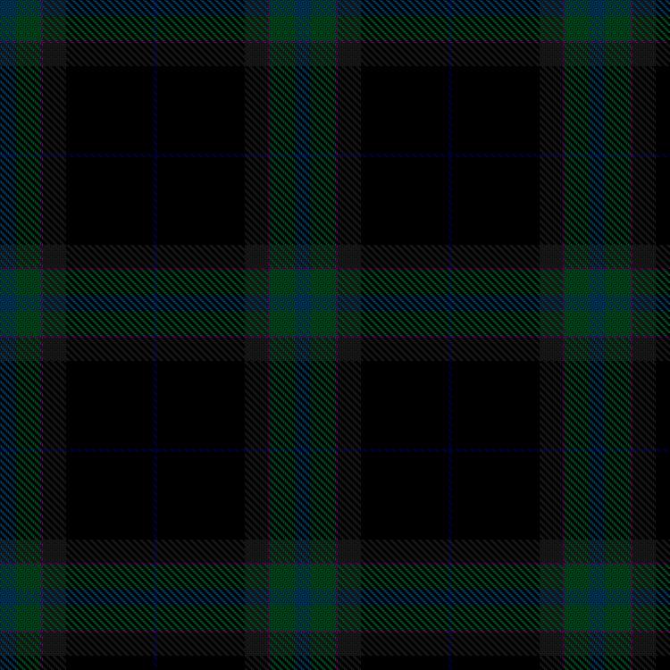 Tartan image: Williamson, L (Personal). Click on this image to see a more detailed version.