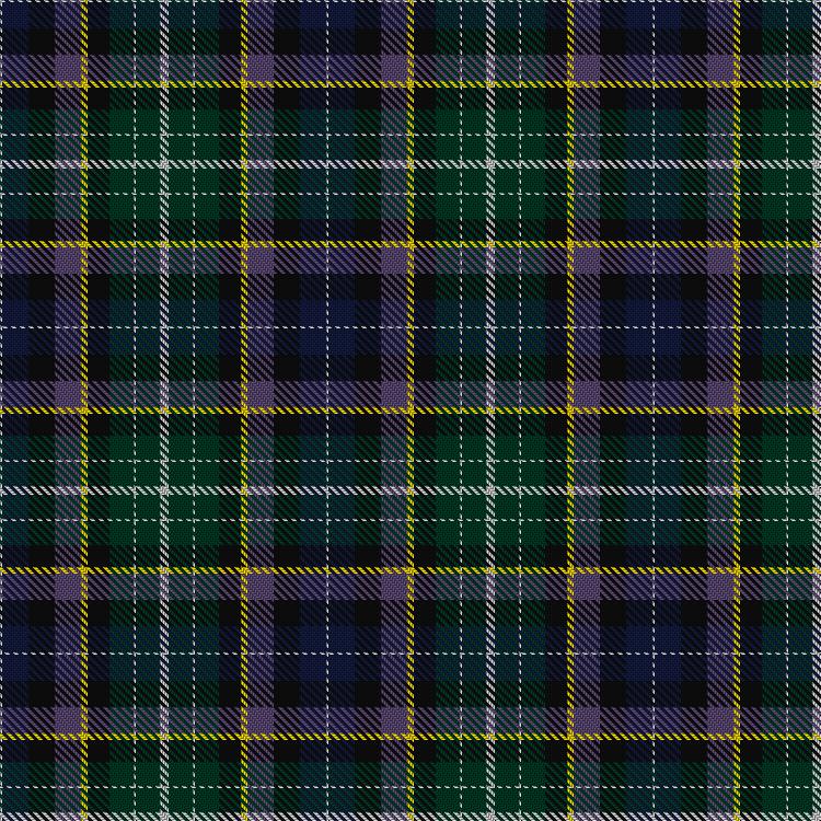 Tartan image: Riddell, Sean (Personal). Click on this image to see a more detailed version.
