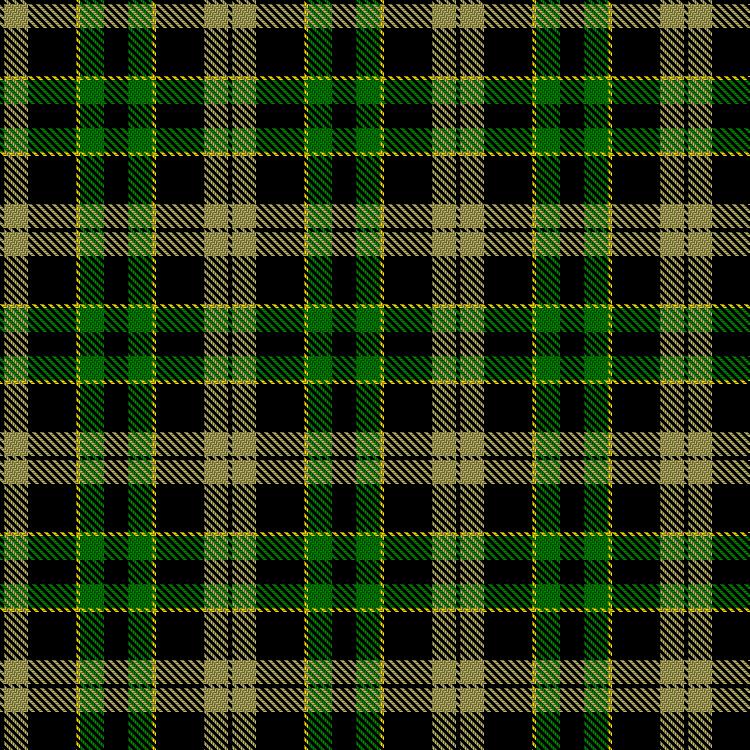 Tartan image: MyLadyLord. Click on this image to see a more detailed version.