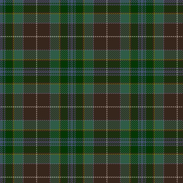 Tartan image: Easter Shian. Click on this image to see a more detailed version.
