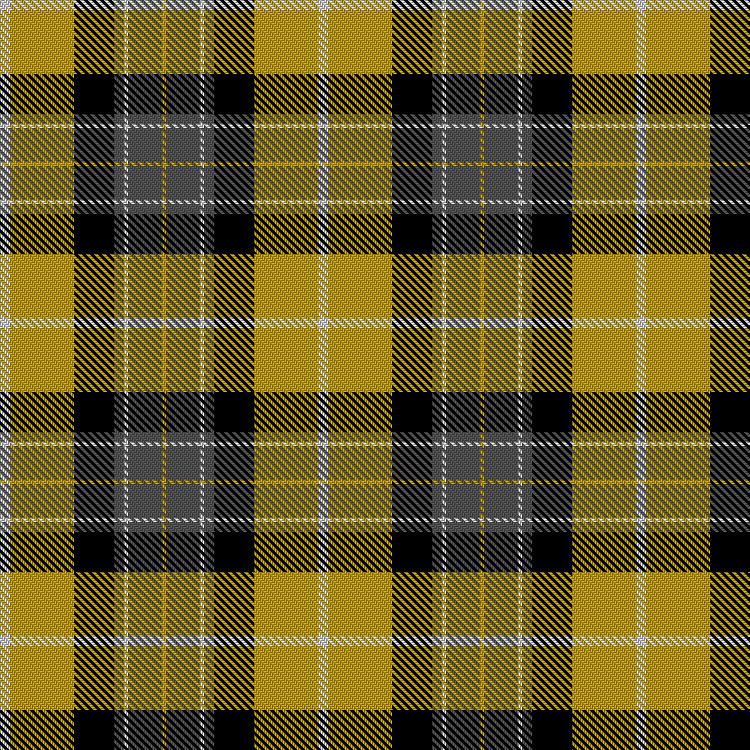 Tartan image: University of Idaho. Click on this image to see a more detailed version.