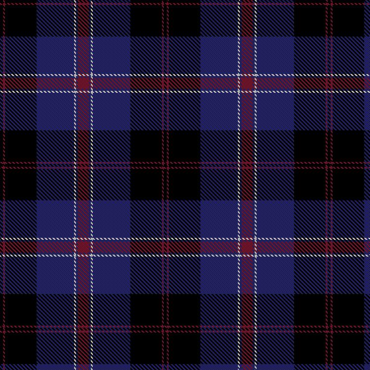Tartan image: Nesbitt, Nue (Personal). Click on this image to see a more detailed version.
