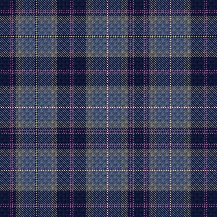 Tartan image: Dinwoodie, G (Personal). Click on this image to see a more detailed version.