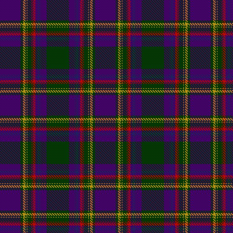 Tartan image: van Eijk, Martijn & Family (Personal). Click on this image to see a more detailed version.