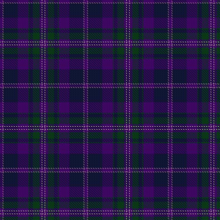 Tartan image: Scollay, D & Family (Personal). Click on this image to see a more detailed version.