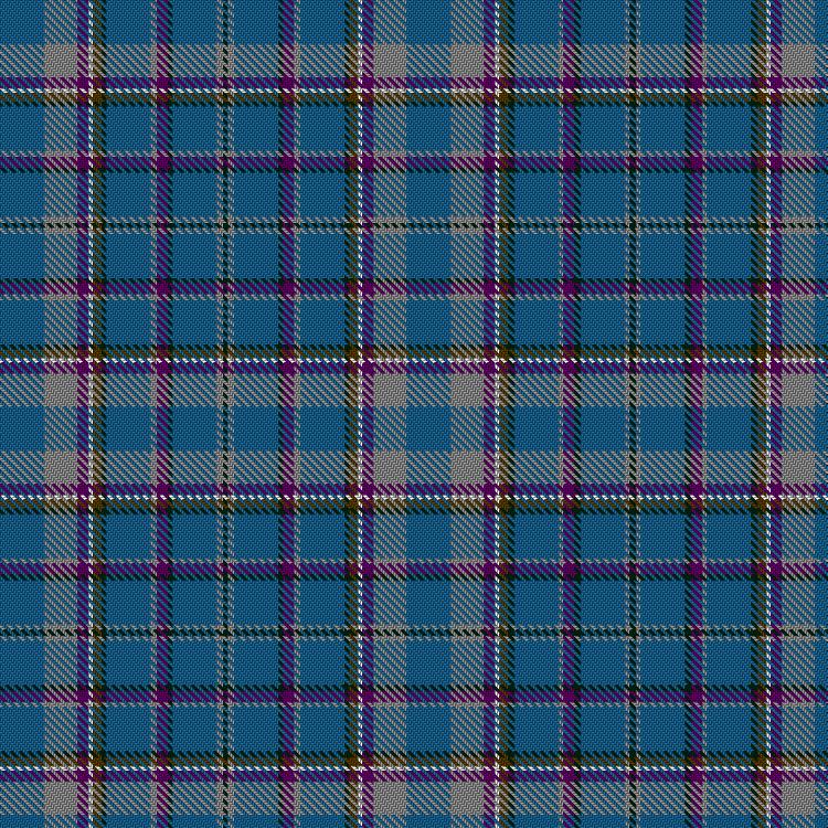 Tartan image: International Weavers. Click on this image to see a more detailed version.