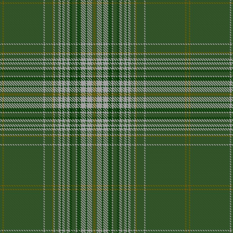 Tartan image: Glen Elg. Click on this image to see a more detailed version.