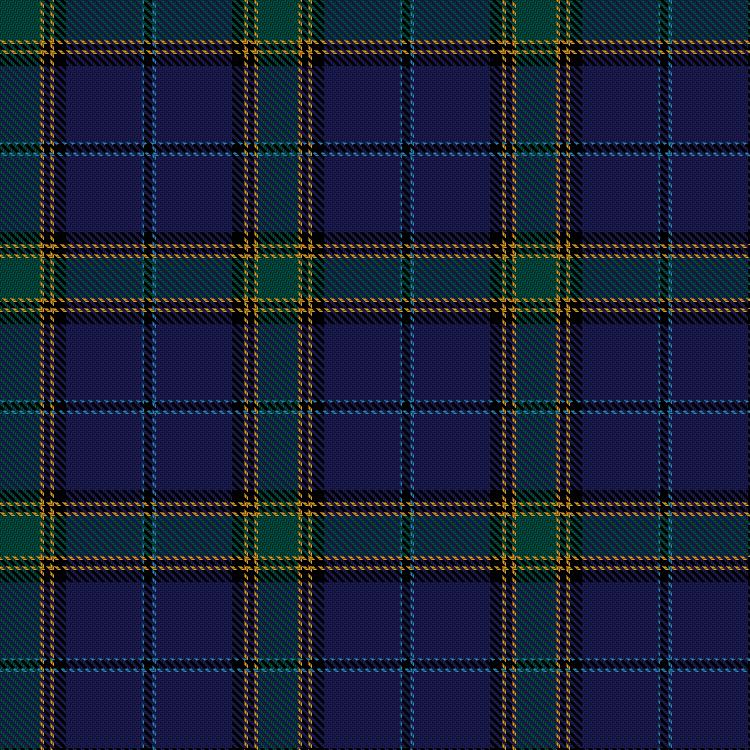 Tartan image: Foottit, Thomas (Personal). Click on this image to see a more detailed version.