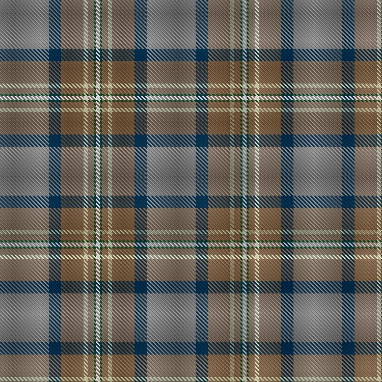 Tartan image: Warrington Meyers, J & K (Personal). Click on this image to see a more detailed version.