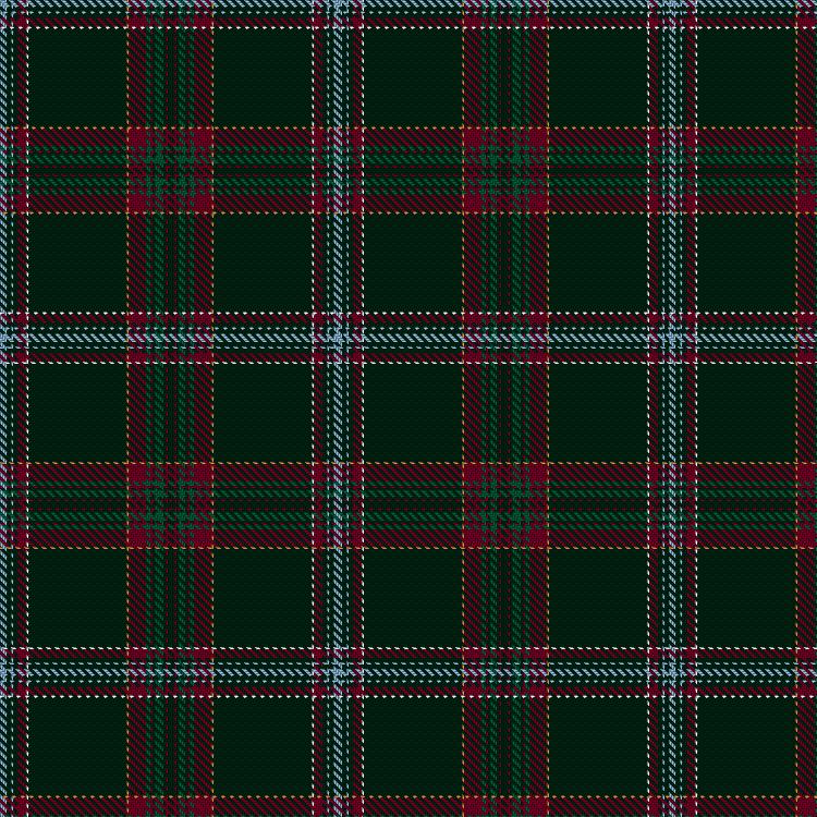 Tartan image: Arnhold-Simoes, Christiano (Personal). Click on this image to see a more detailed version.