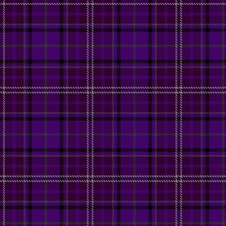 Tartan image: Taylor, Anthony (Personal). Click on this image to see a more detailed version.
