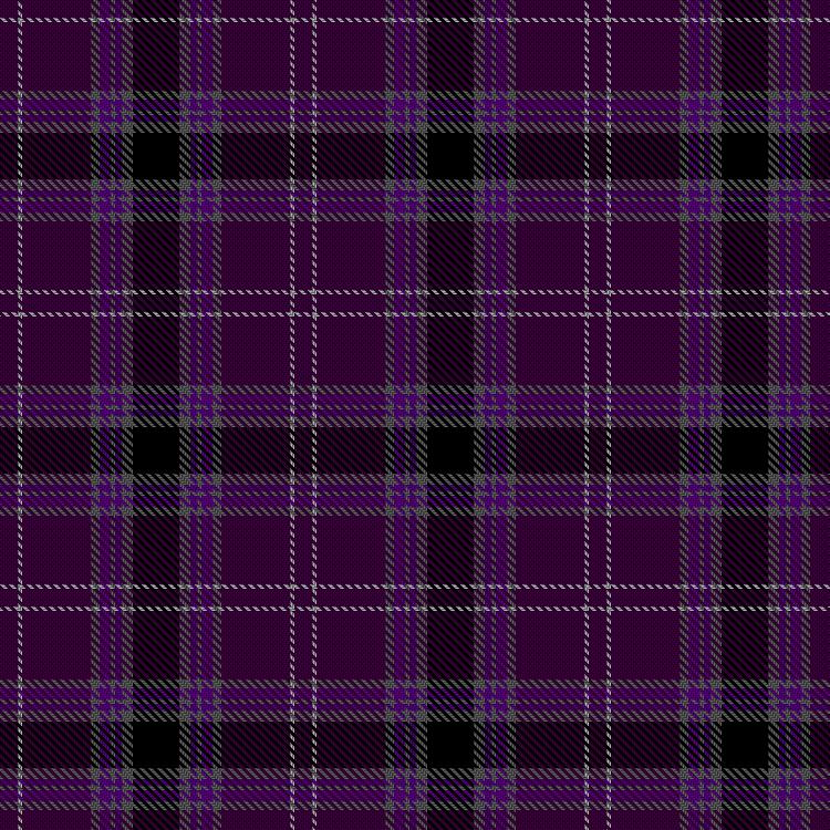 Tartan image: Taylor, Anthony & Family (Personal). Click on this image to see a more detailed version.