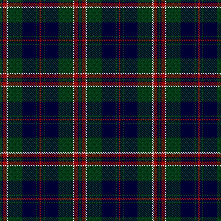 Tartan image: Celts of Hungary. Click on this image to see a more detailed version.