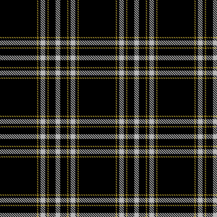 Tartan image: Washington Tattoo, The. Click on this image to see a more detailed version.