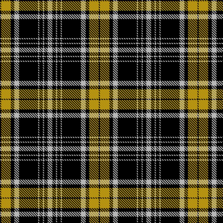Tartan image: Washington Tattoo Staff, The. Click on this image to see a more detailed version.