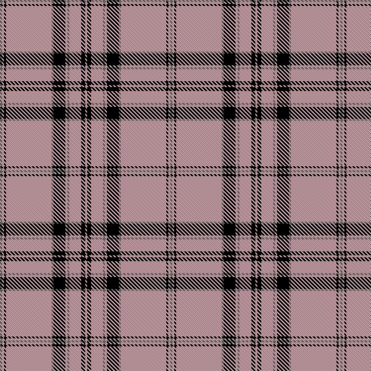 Tartan image: Mary Kay. Click on this image to see a more detailed version.