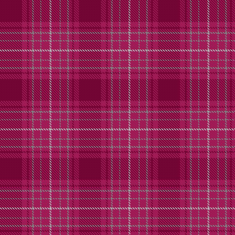 Tartan image: Curaidh. Click on this image to see a more detailed version.