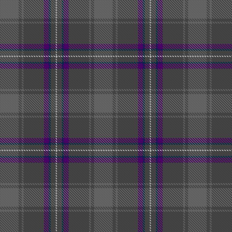 Tartan image: Pitman, Damien & Daniell, Caitlin (Personal). Click on this image to see a more detailed version.